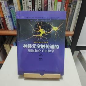 神经元突触传递的细胞和分子生物学