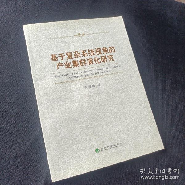 基于复杂系统视角的产业集群演化研究