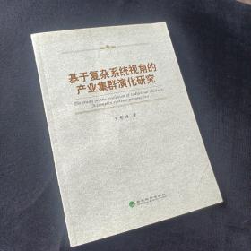 基于復(fù)雜系統(tǒng)視角的產(chǎn)業(yè)集群演化研究