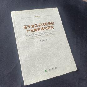 基于复杂系统视角的产业集群演化研究