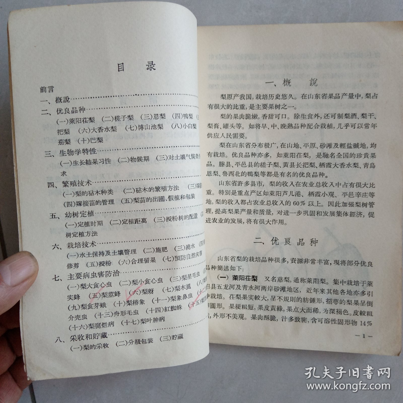 梨树裁培法