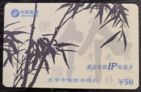 北京电信IP电话卡（竹子）