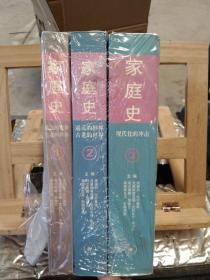 家庭史（全三卷）：现代化的冲击