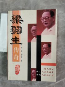 梁羽生传奇