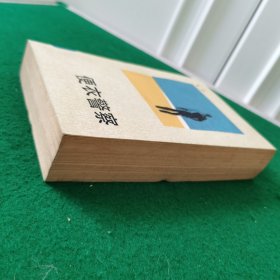便衣警察（当代精品文学）（长篇小说）