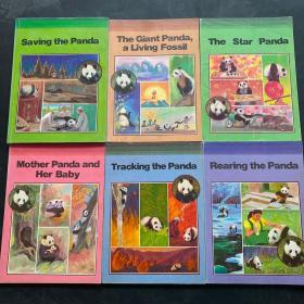 大熊猫丛书 1到6卷 6本合售 英文精装