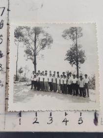 60-70年代时期福州铁路局美女帅哥佩戴毛主席像章合影泛银照片(福州铁路局职工相册一本)