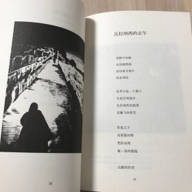 时间从不留下倒影（诗集）