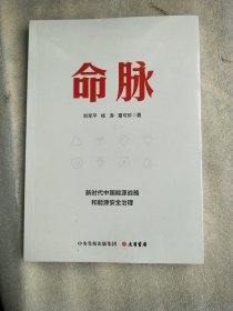 命脉：新时代中国能源战略和能源安全治理
