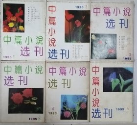 《中篇小说选刊》1995年第1，2，3，4，5，6期全年6册合售（ 钟道新《宇宙杀星》张者《苦泉水》池莉《你以为你是谁》毕淑敏《教授的戒指》迟子建《原野上的羊群》徐小斌《缅甸玉》王梓夫《审判》张欣《仅有爱情是不能结婚的》张贤亮《无法苏醒》高建群《大顺店》池莉《化蛹为蝶》郭晓晔《东京大审判》邓一光《父亲是个兵》等 ）