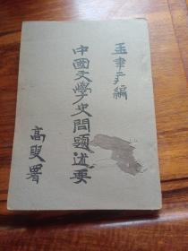 稀少，中国文学史问题述要 全一册