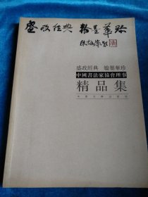 中国书法家协会理事精品集