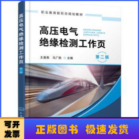 高压电气绝缘检测工作页