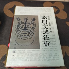 昭明文选注析