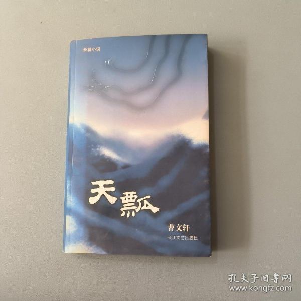 天瓢：16开简装本