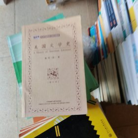 高等学校英语专业系列教材：美国文学史