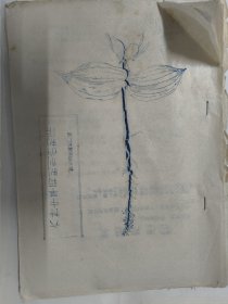 六种中草药制剂的制作（柞水县医院药厂编）1975年陕西省中西医结合治疗骨折骨髓炎学习班翻印