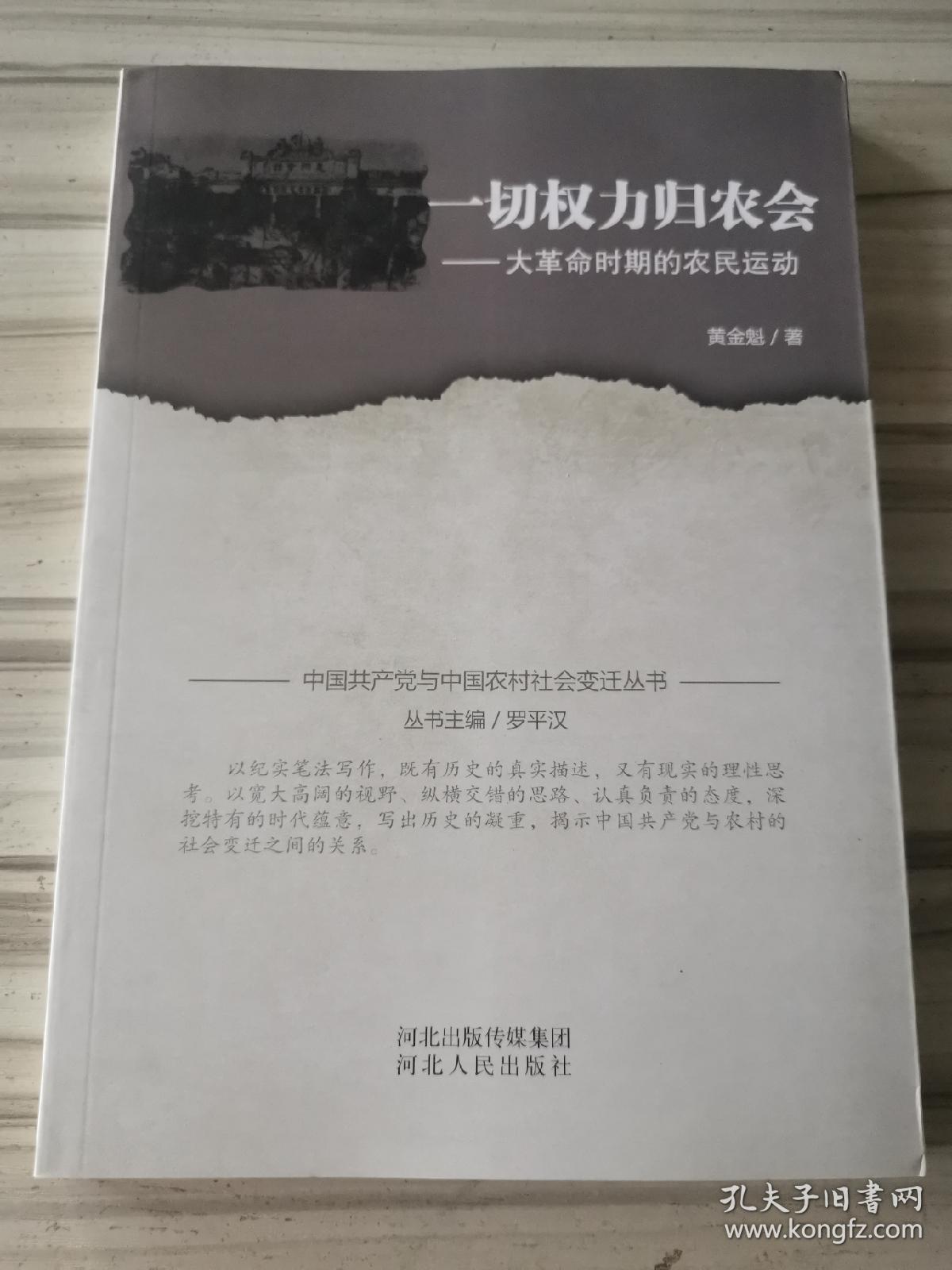 一切权力归农会 大革命时期的农民运动9787202094877