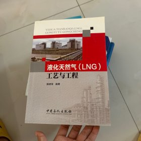 液化天然气（LNG）工艺与工程