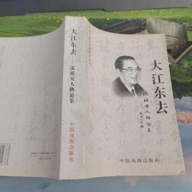 大江东去 沈祖安人物论集