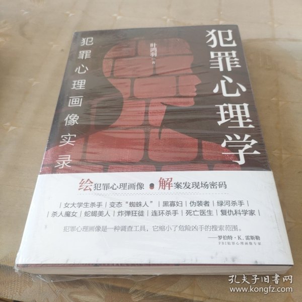 犯罪心理学：犯罪心理画像实录