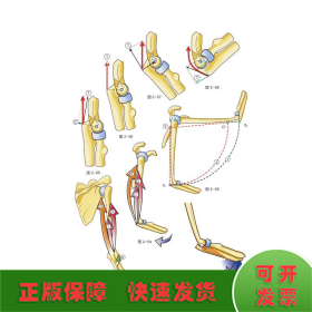 骨关节功能解剖学(第1卷上肢原书第7版)(精)/国际经典骨科学译著