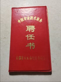 中级专业技术职务聘任书