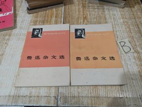 鲁迅杂文选（上下册）