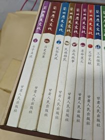 兰州历史文化（全14册） 带函套