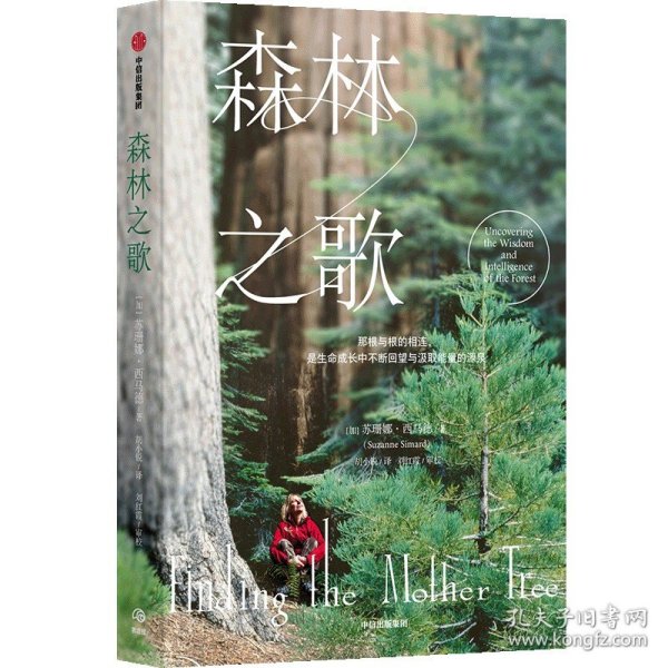 森林之歌