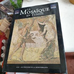 LA MOSAIQUE EN TUNISIE(突尼斯马赛克)