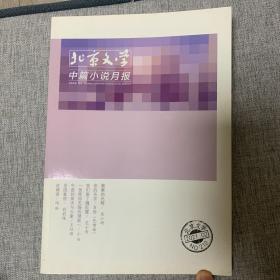 北京文学中篇小说月报2021年第2期