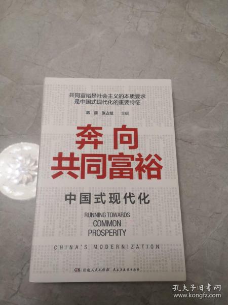 奔向共同富裕（读懂共同富裕，看清未来中国！深入浅出，雅俗共赏，两大TOP级智库联袂巨献，通俗理论重磅大作！）