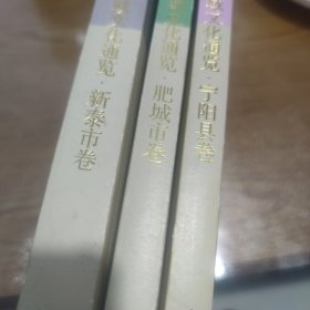 泰安区域文化通览·宁阳县.肥城.新泰卷