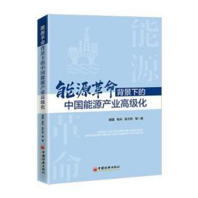 能源背景下的中国能源产业化 经济理论、法规 胡建，焦兵，张文彬等