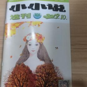 小小说选刊