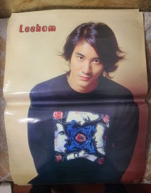 明星海报王力宏压膜