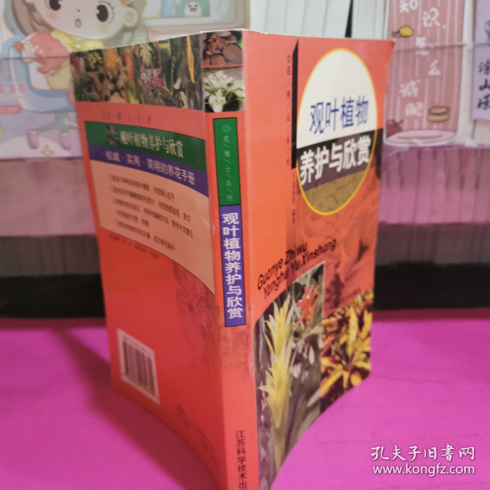 观叶植物养护与欣赏
