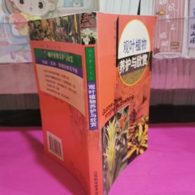 观叶植物养护与欣赏