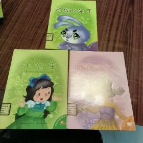 忘我的兔子 海浪的女儿 小公主 （注音绘本）三本合售