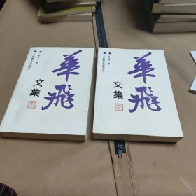 李华飞文集(上下)