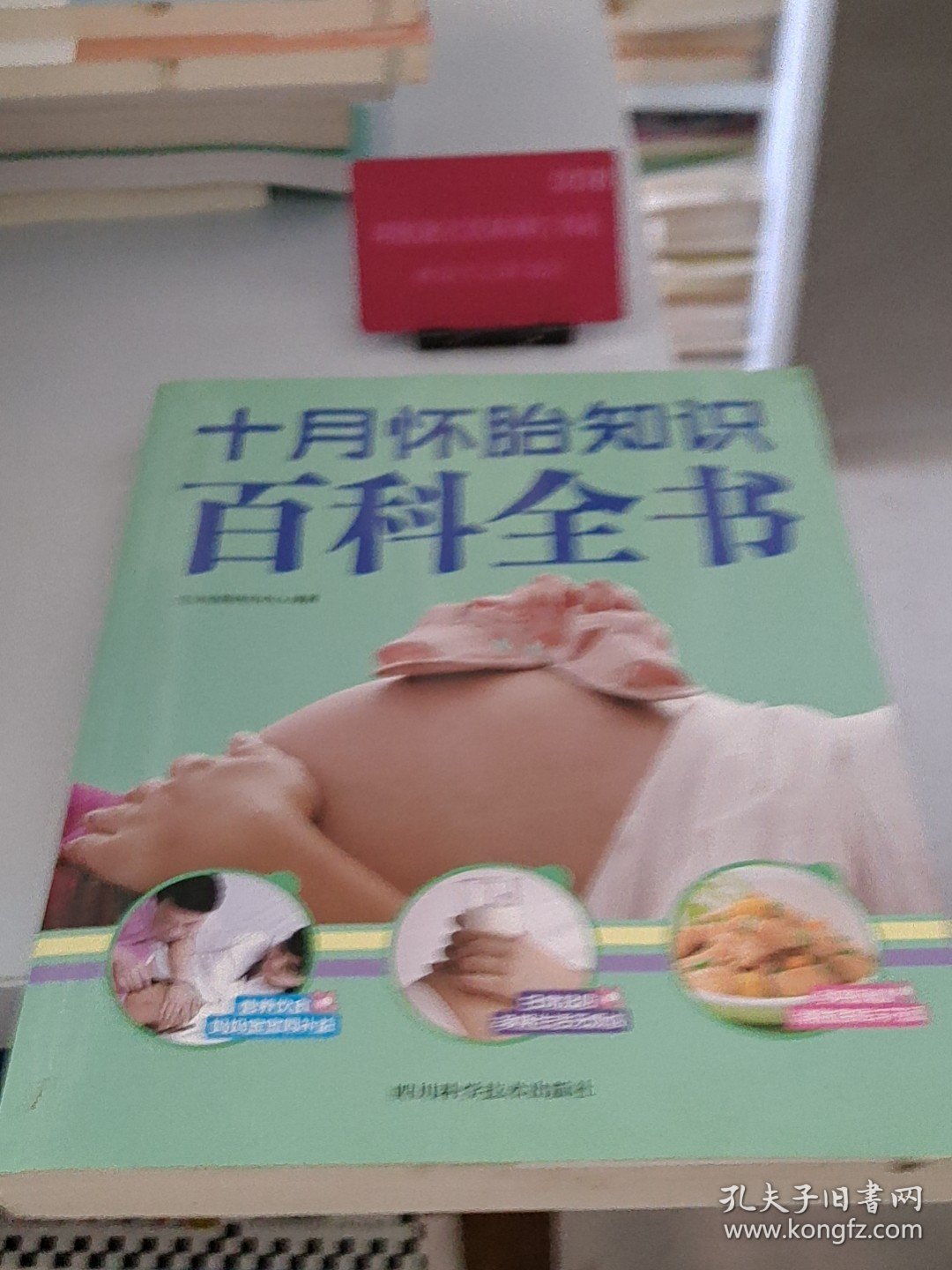 四川科学技术出版社 十月怀胎知识百科全书H40174