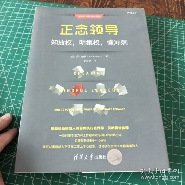 正念领导：知放权，明集权，懂冲刺（新时代·管理新思维）