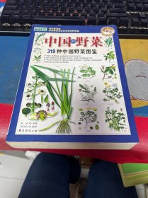 319种中国野菜图鉴