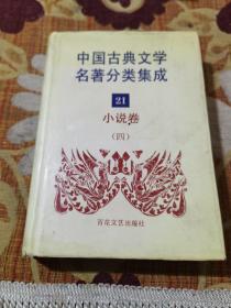 中国古典文学名著分类集成 21 小说卷（四）
