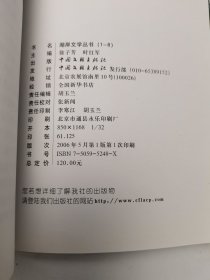 天之眼,湖岸文学丛书