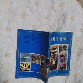 神秘的蜘蛛（一版一印）