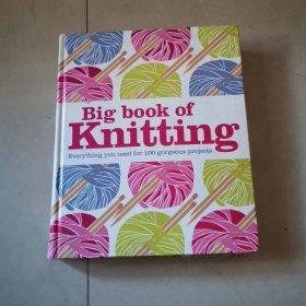 Big Book of Knitting