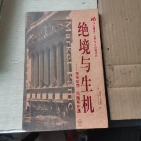 绝境与生机：市场动荡、风险和机遇