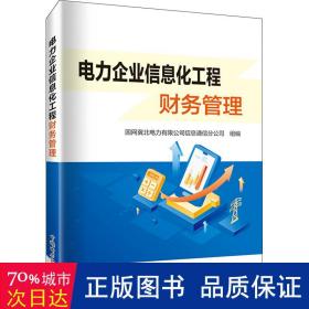 电力企业信息化工程财务管理 电子、电工 作者 新华正版